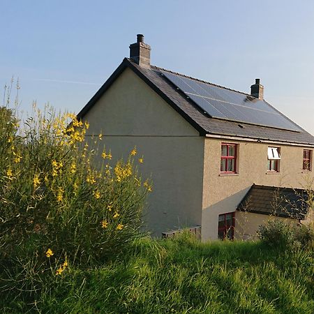 Treberfedd Farm Cottages And Cabins Lampeter Esterno foto