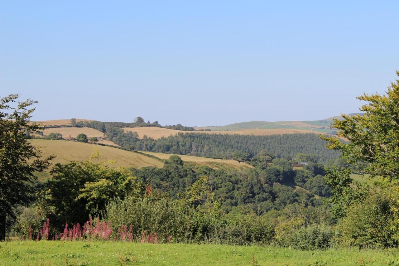 Treberfedd Farm Cottages And Cabins Lampeter Esterno foto