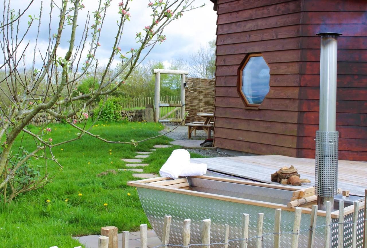 Treberfedd Farm Cottages And Cabins Lampeter Esterno foto