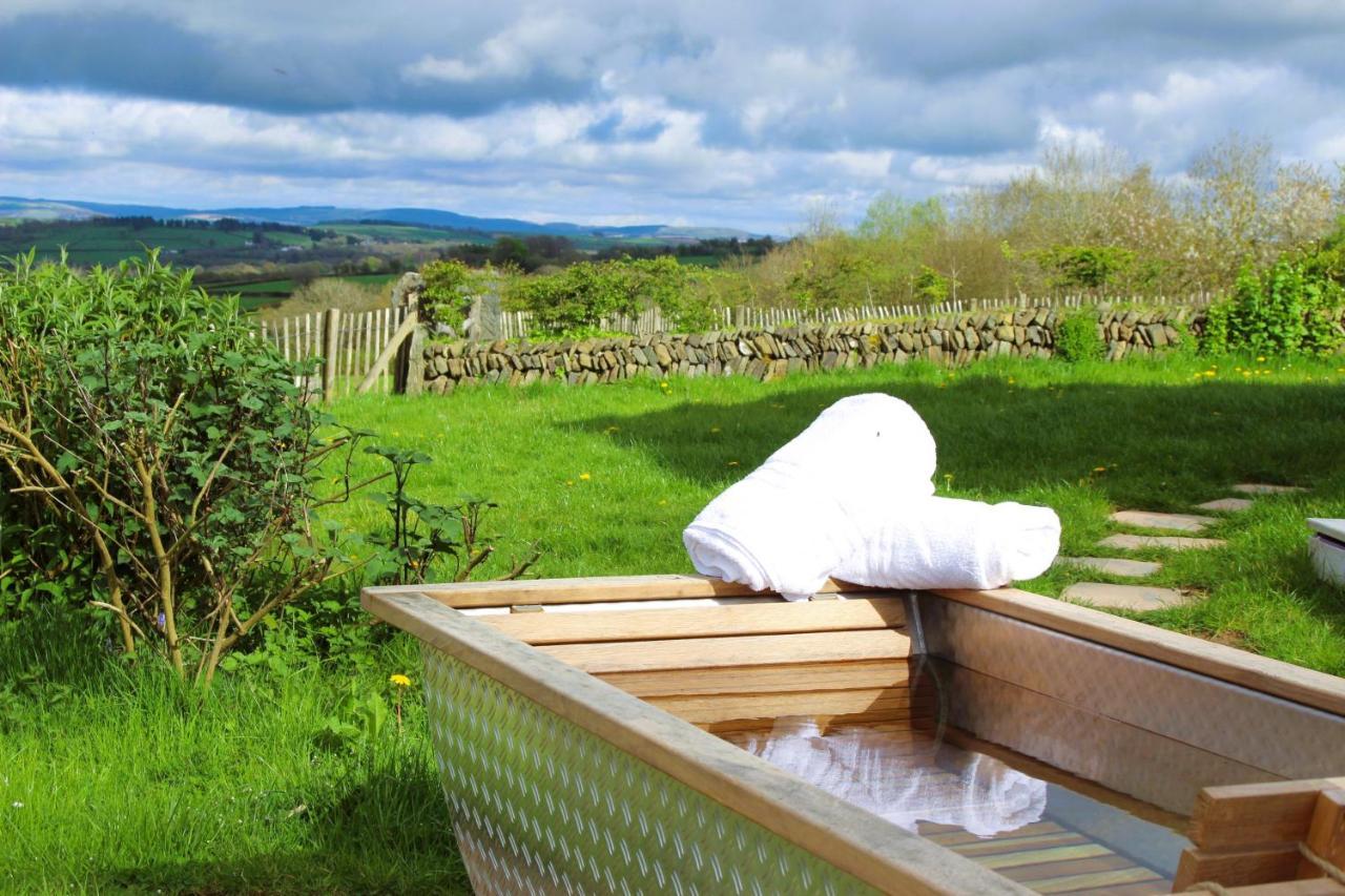 Treberfedd Farm Cottages And Cabins Lampeter Esterno foto