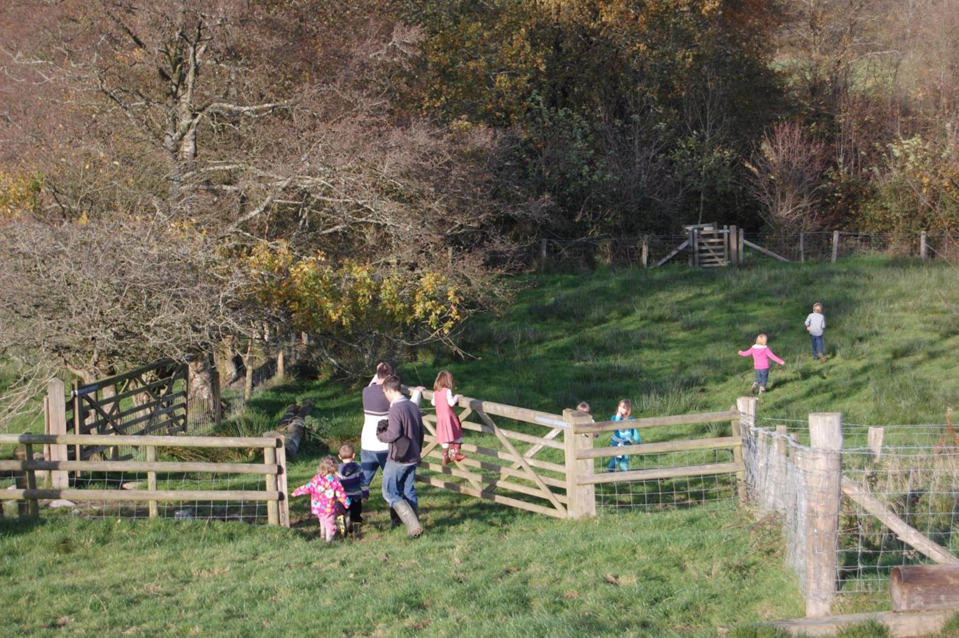 Treberfedd Farm Cottages And Cabins Lampeter Esterno foto